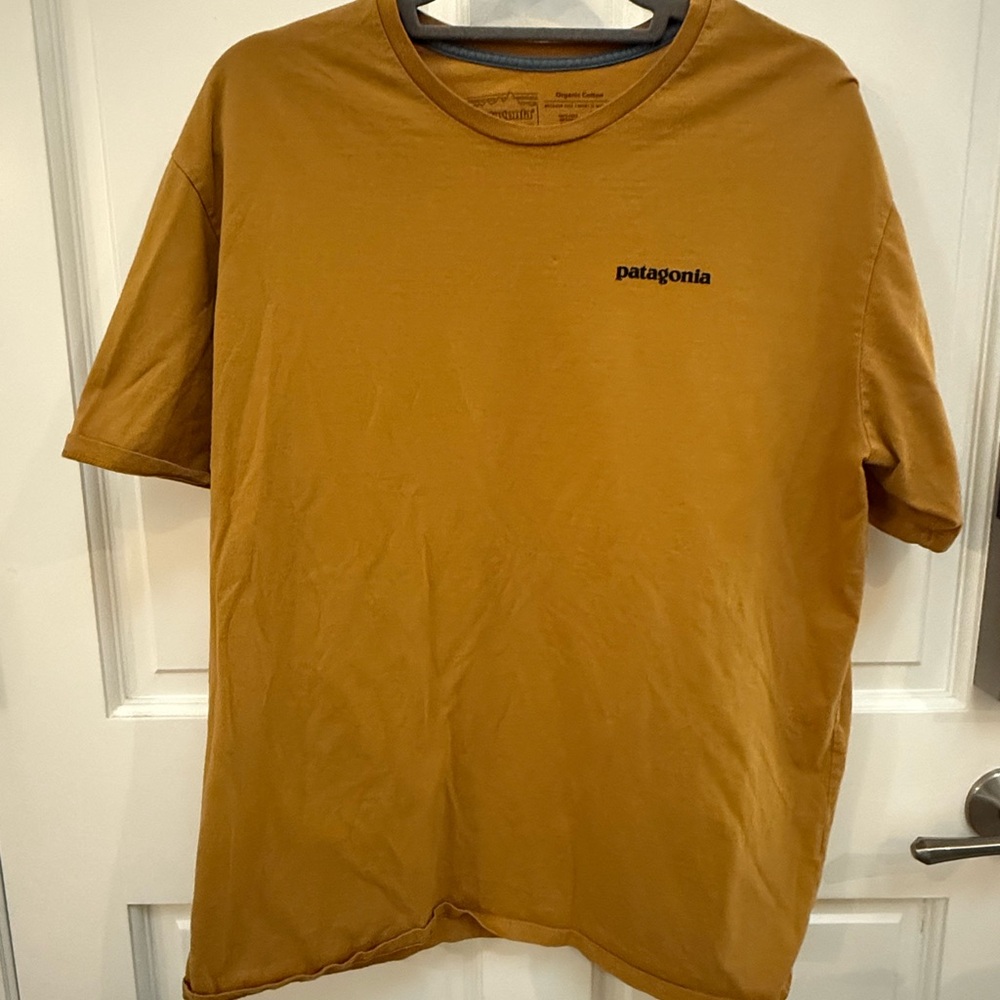 Patagonia Men's Size L Organic Cotton T-Shirt